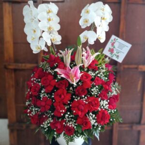 bunga meja anggrek