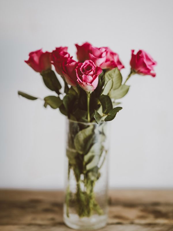 annie-spratt-568661-unsplash.jpg
